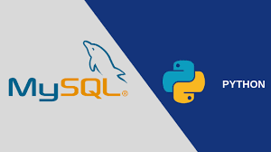 Работа с MySQL в Python: Создание базы данных